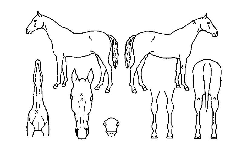 ������� ����,���,�޸�,�λ�,�ٸ��� Ư¡����