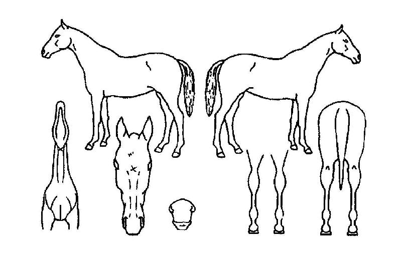 ���������丮�� ����,���,�޸�,�λ�,�ٸ��� Ư¡����