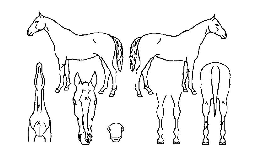 ��緡���� ����,���,�޸�,�λ�,�ٸ��� Ư¡����