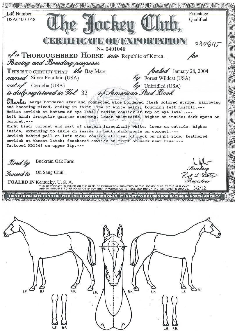 ½Ç¹öÆÄ¿îƾÀÇ Ãø¸é,¿ì¸é,µÞ¸é,µÎ»ó,´Ù¸®ÀÇ Æ¯Â¡µµÇØ