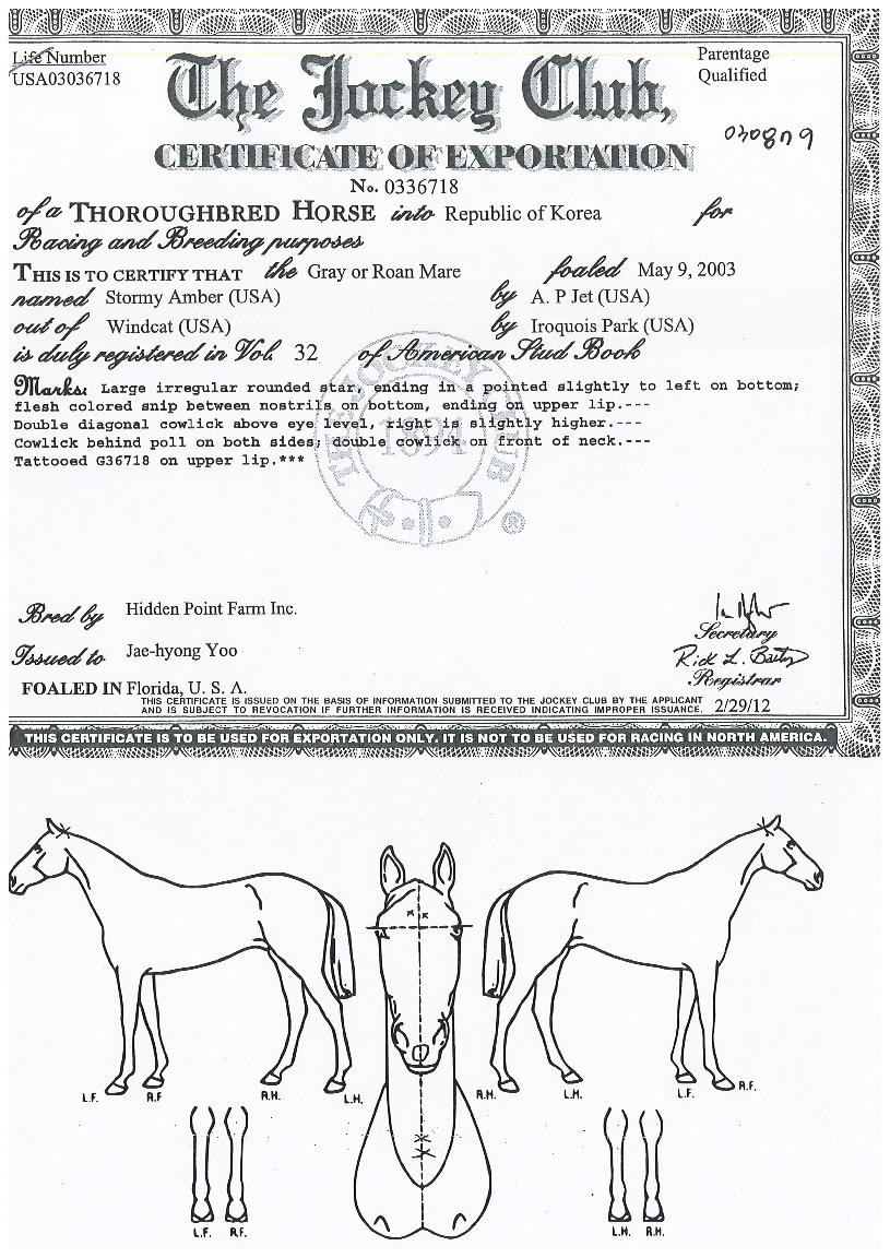 ½ºÅä¹Ì¾Ú¹öÀÇ Ãø¸é,¿ì¸é,µÞ¸é,µÎ»ó,´Ù¸®ÀÇ Æ¯Â¡µµÇØ