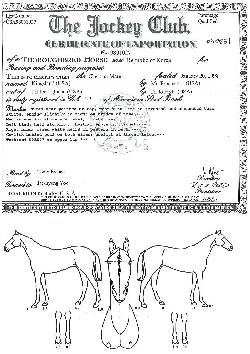 Å·Áî·£µåÀÇ Ãø¸é,¿ì¸é,µÞ¸é,µÎ»ó,´Ù¸®ÀÇ Æ¯Â¡µµÇØ