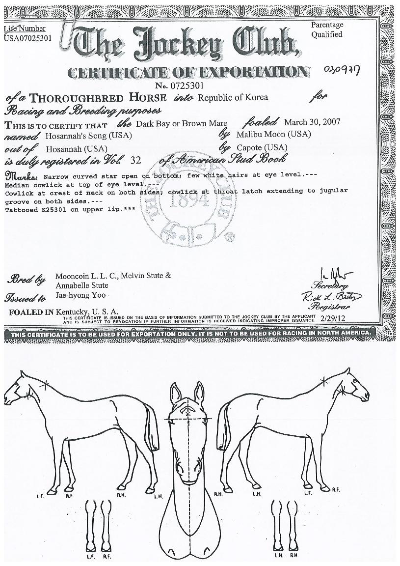 ȣ�������� ����,���,�޸�,�λ�,�ٸ��� Ư¡����