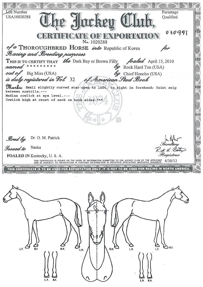 ����Ǻ��� ����,���,�޸�,�λ�,�ٸ��� Ư¡����