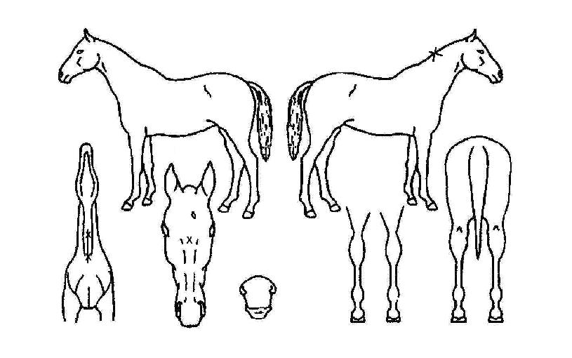 ���ť���� ����,���,�޸�,�λ�,�ٸ��� Ư¡����