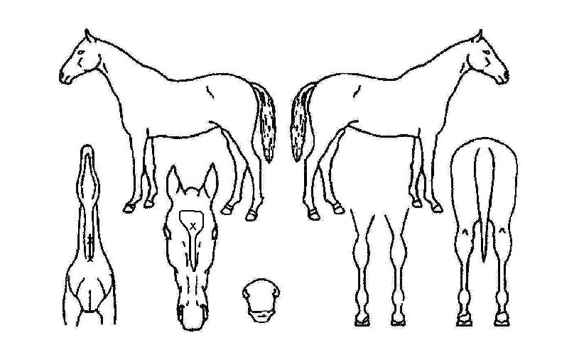 ��·���� ����,���,�޸�,�λ�,�ٸ��� Ư¡����