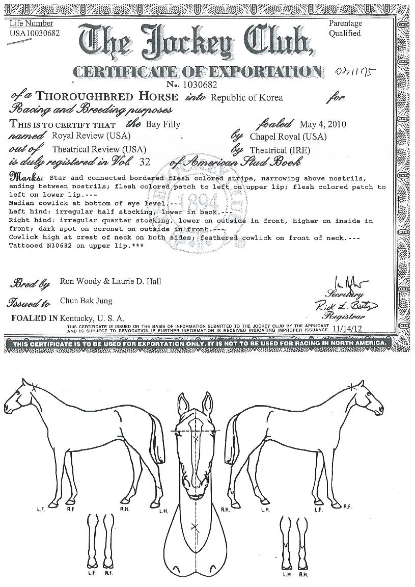 ·Î¿¸®ºäÀÇ Ãø¸é,¿ì¸é,µÞ¸é,µÎ»ó,´Ù¸®ÀÇ Æ¯Â¡µµÇØ