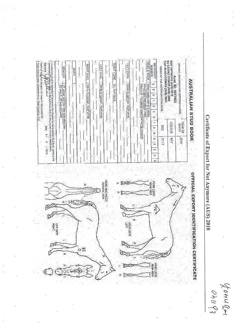 ���ִϸ���� ����,���,�޸�,�λ�,�ٸ��� Ư¡����