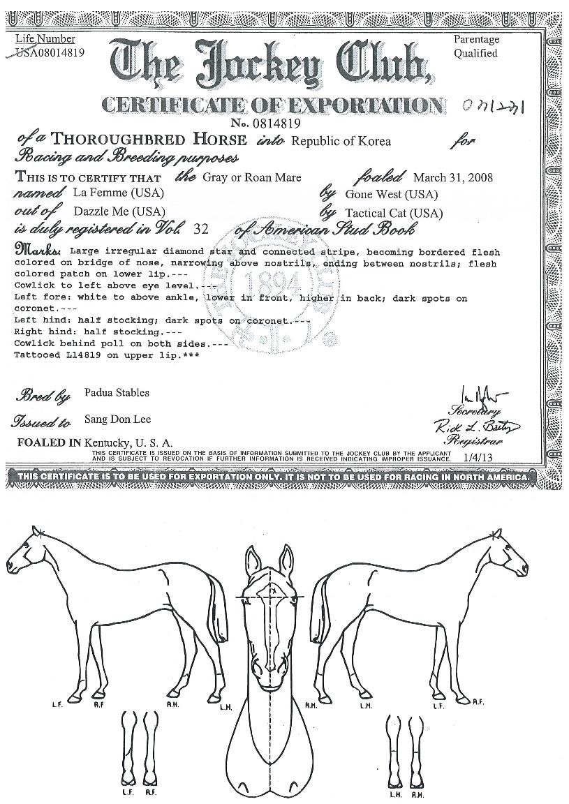 ������ ����,���,�޸�,�λ�,�ٸ��� Ư¡����