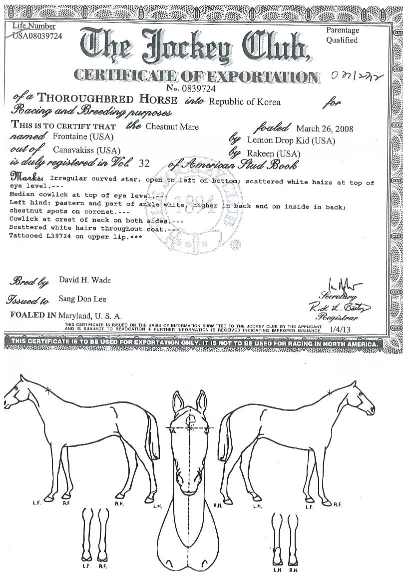 ����ƾ�� ����,���,�޸�,�λ�,�ٸ��� Ư¡����