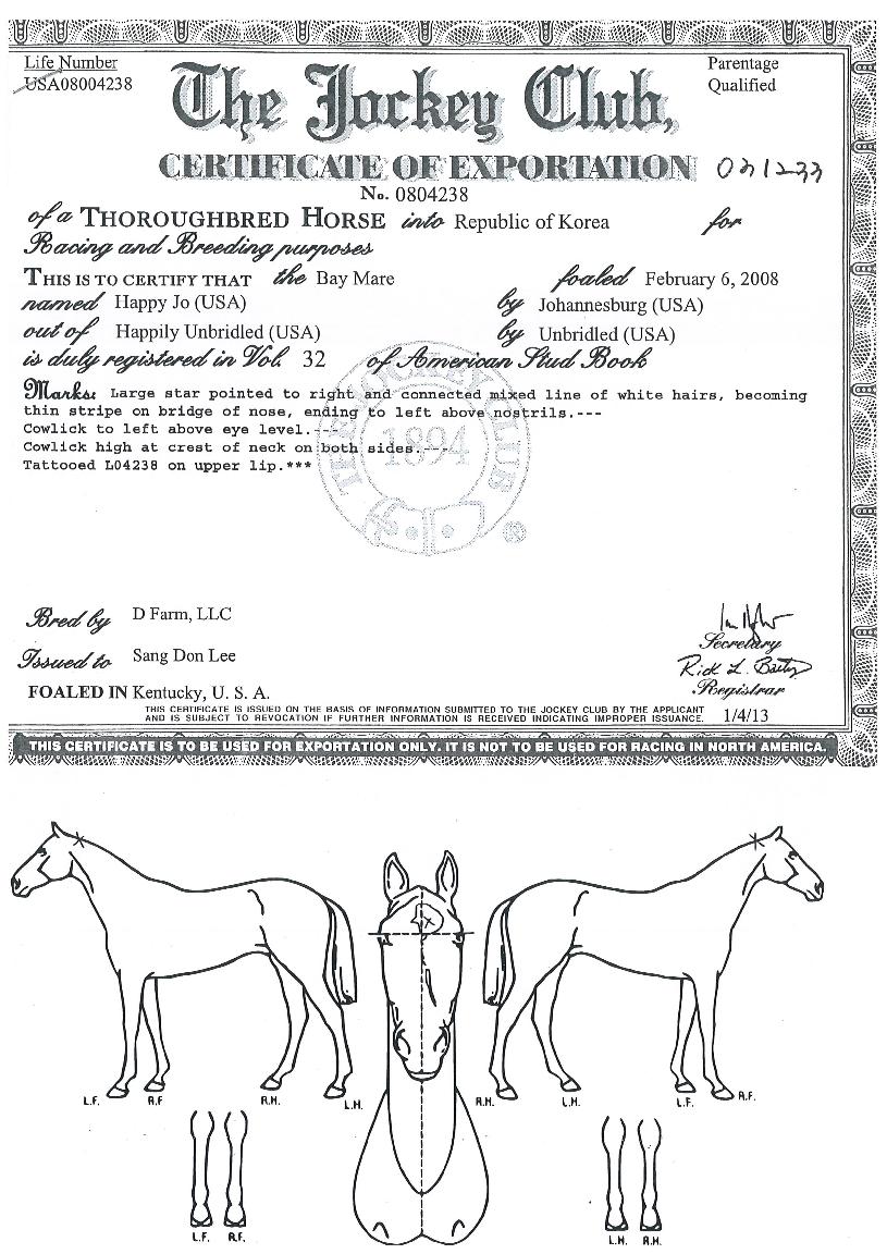 ÇØÇÇÁ¶ÀÇ Ãø¸é,¿ì¸é,µÞ¸é,µÎ»ó,´Ù¸®ÀÇ Æ¯Â¡µµÇØ