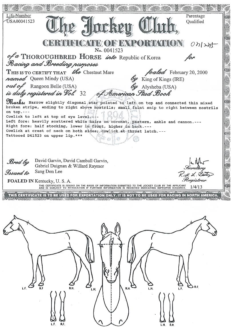 Äý¹ÎµðÀÇ Ãø¸é,¿ì¸é,µÞ¸é,µÎ»ó,´Ù¸®ÀÇ Æ¯Â¡µµÇØ