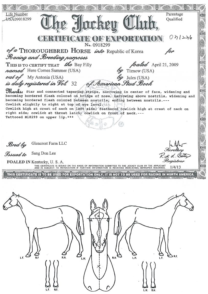 È÷¾îÄÄÁÓÀÇ Ãø¸é,¿ì¸é,µÞ¸é,µÎ»ó,´Ù¸®ÀÇ Æ¯Â¡µµÇØ