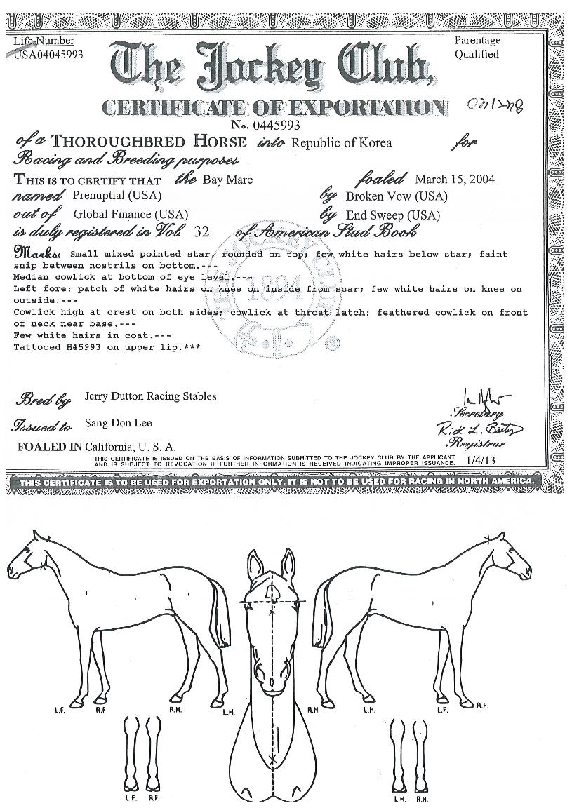 �����Ҽ��� ����,���,�޸�,�λ�,�ٸ��� Ư¡����