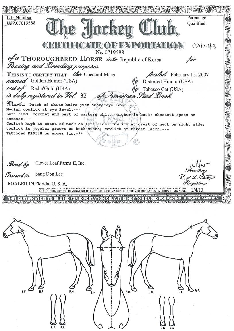 ����޸��� ����,���,�޸�,�λ�,�ٸ��� Ư¡����