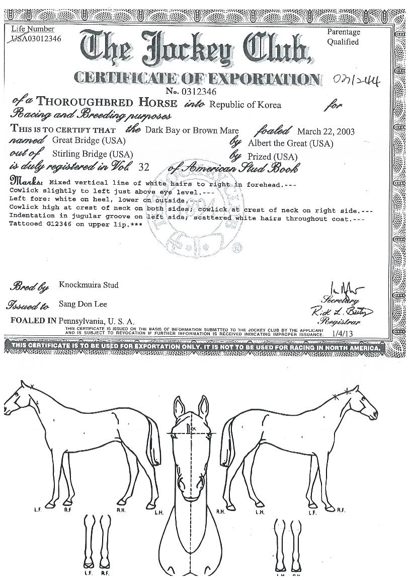 �׷���Ʈ�긮���� ����,���,�޸�,�λ�,�ٸ��� Ư¡����