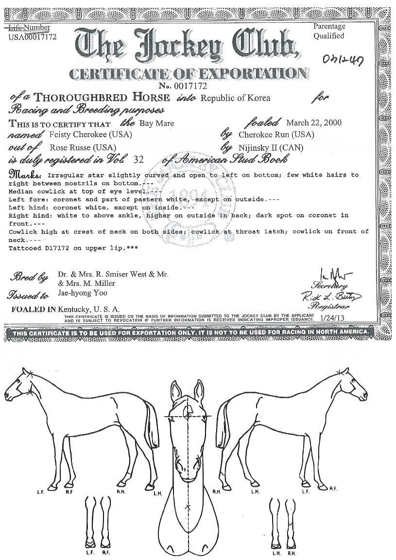 ÆÄÀ̽ºÆ¼Ã¼·ÎŰÀÇ Ãø¸é,¿ì¸é,µÞ¸é,µÎ»ó,´Ù¸®ÀÇ Æ¯Â¡µµÇØ