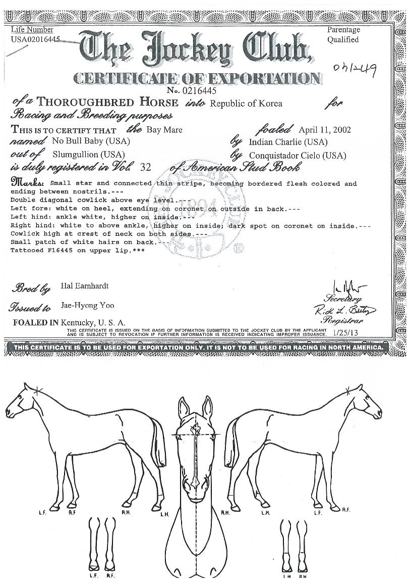 ³ëºÒº£À̺ñÀÇ Ãø¸é,¿ì¸é,µÞ¸é,µÎ»ó,´Ù¸®ÀÇ Æ¯Â¡µµÇØ