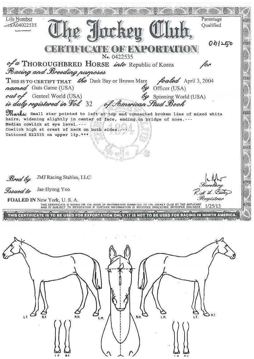 ���������� ����,���,�޸�,�λ�,�ٸ��� Ư¡����