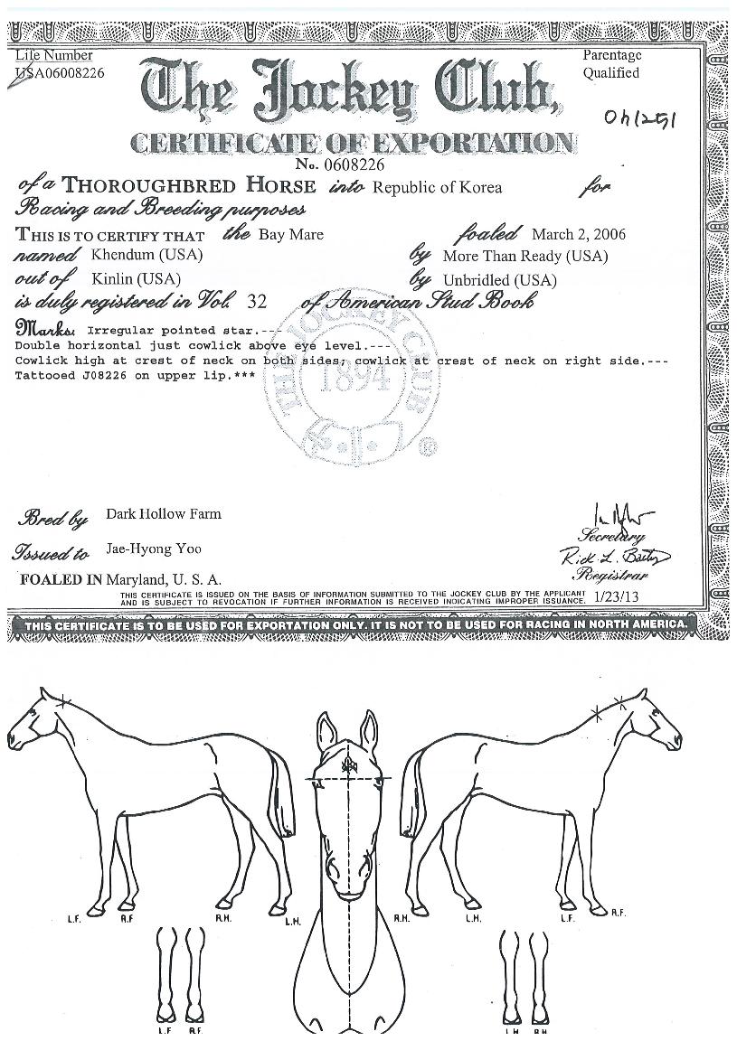 ÄË´ýÀÇ Ãø¸é,¿ì¸é,µÞ¸é,µÎ»ó,´Ù¸®ÀÇ Æ¯Â¡µµÇØ