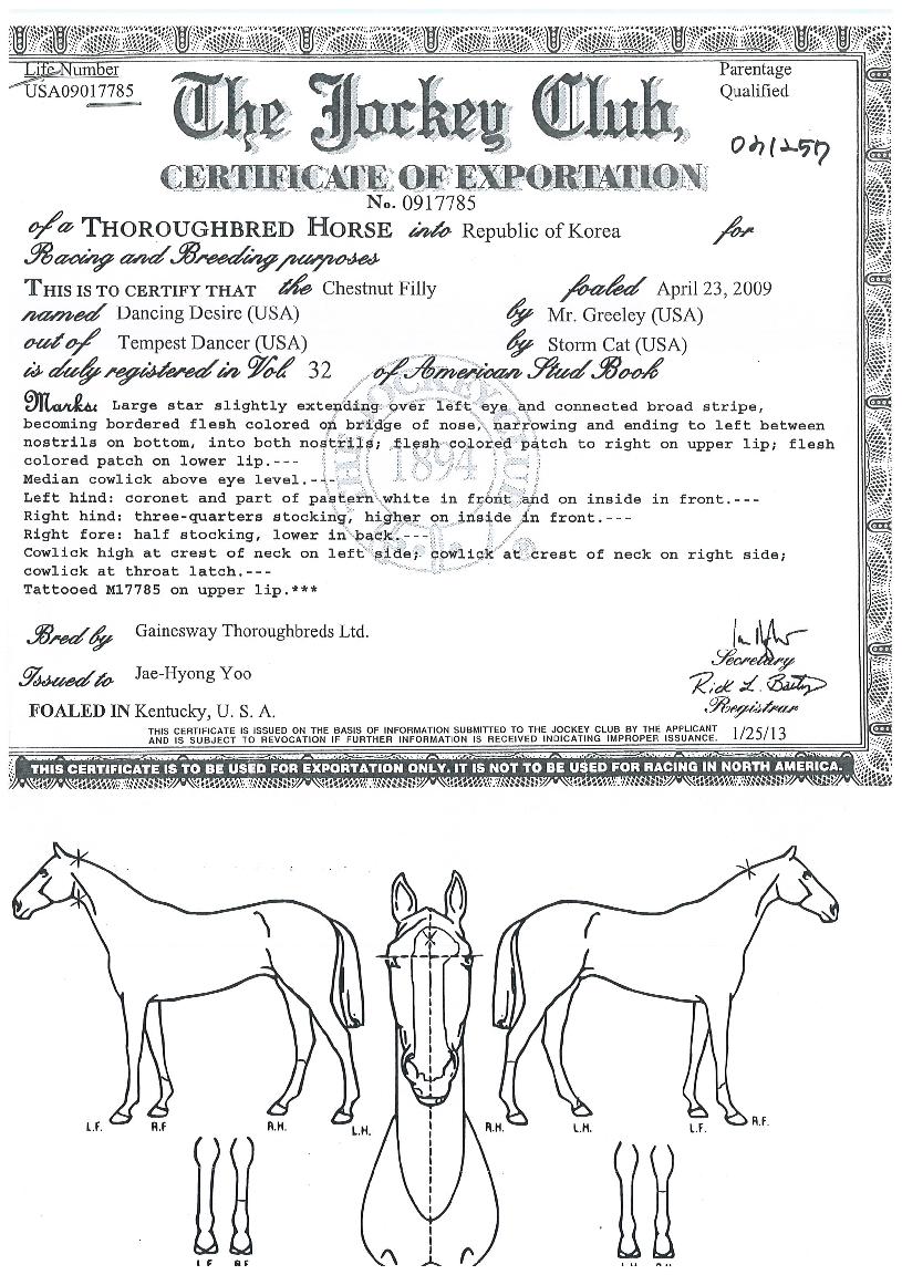 ���̵����̾��� ����,���,�޸�,�λ�,�ٸ��� Ư¡����