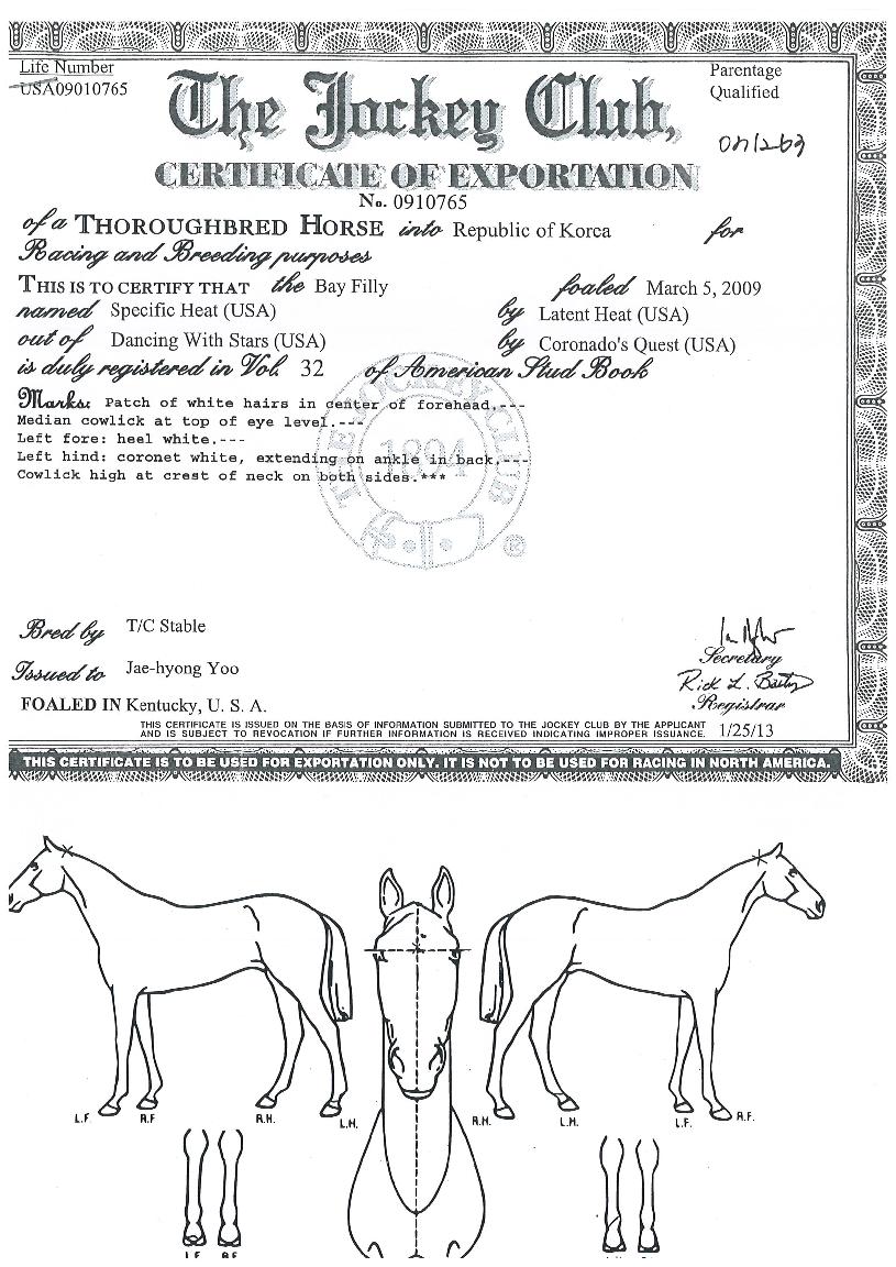 ½ºÆä½ÃÇÈÈ÷Æ®ÀÇ Ãø¸é,¿ì¸é,µÞ¸é,µÎ»ó,´Ù¸®ÀÇ Æ¯Â¡µµÇØ