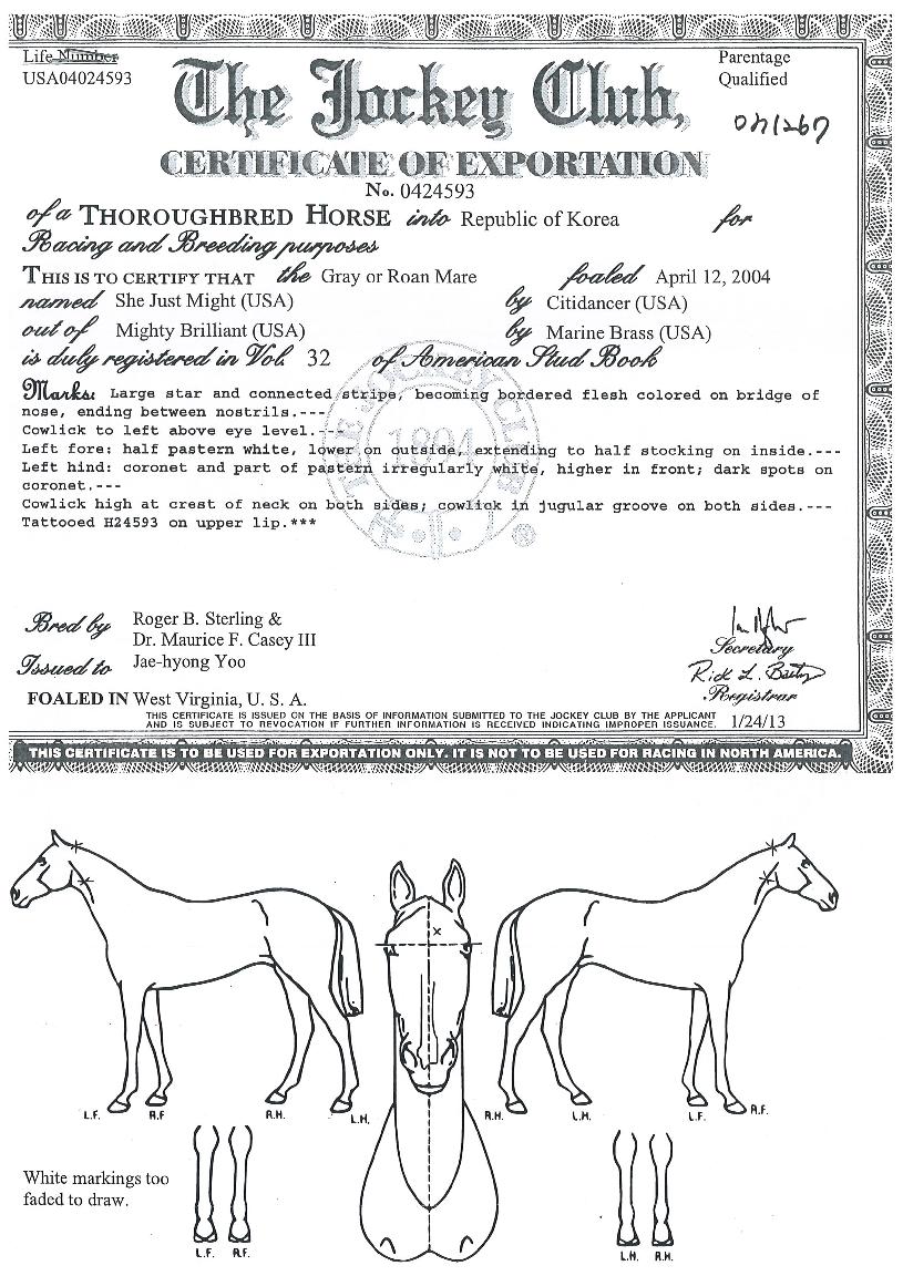 ������Ʈ����Ʈ�� ����,���,�޸�,�λ�,�ٸ��� Ư¡����