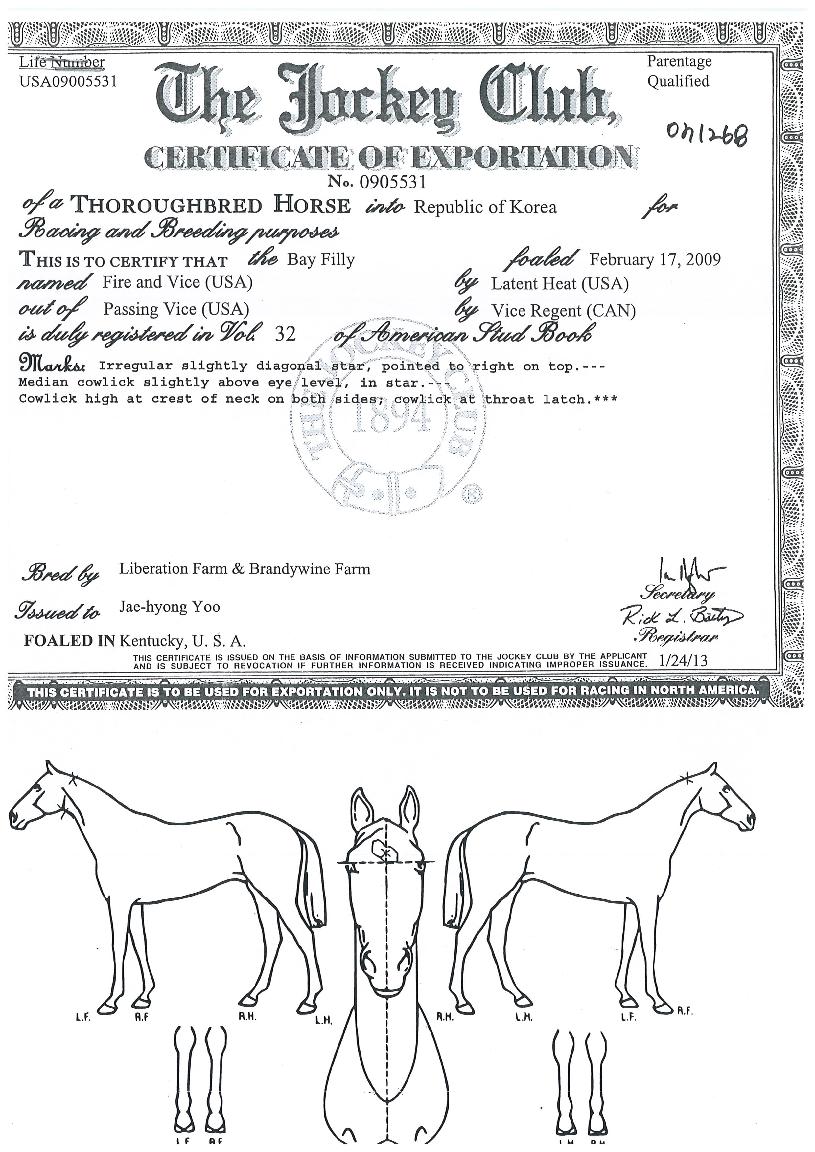 ÆÄÀÌ¾î¾Ø¹ÙÀ̽ºÀÇ Ãø¸é,¿ì¸é,µÞ¸é,µÎ»ó,´Ù¸®ÀÇ Æ¯Â¡µµÇØ