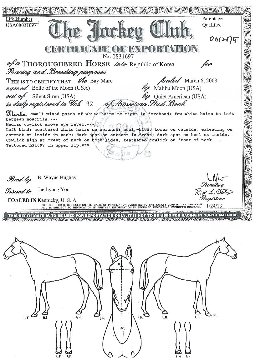 º§¾îºê´õ¹®ÀÇ Ãø¸é,¿ì¸é,µÞ¸é,µÎ»ó,´Ù¸®ÀÇ Æ¯Â¡µµÇØ