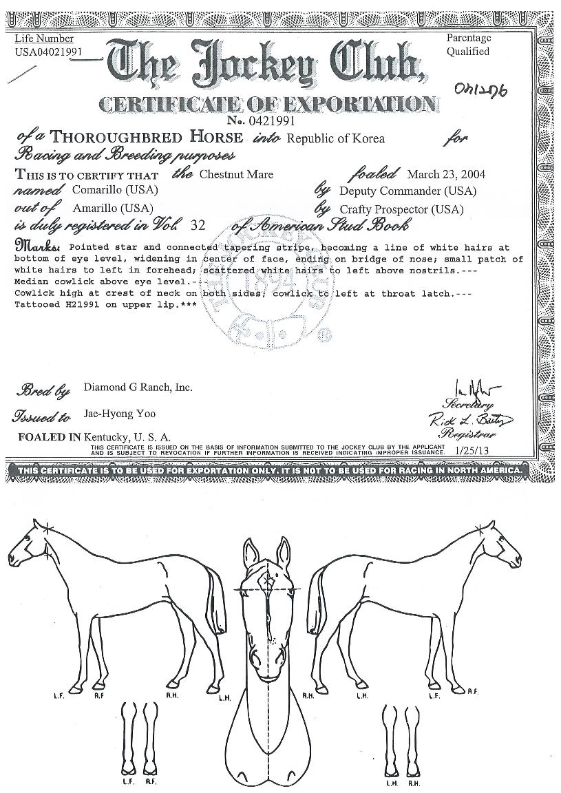 ÄÚ¸¶¸±·ÎÀÇ Ãø¸é,¿ì¸é,µÞ¸é,µÎ»ó,´Ù¸®ÀÇ Æ¯Â¡µµÇØ