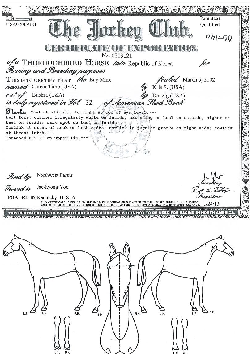 Ŀ����Ÿ���� ����,���,�޸�,�λ�,�ٸ��� Ư¡����