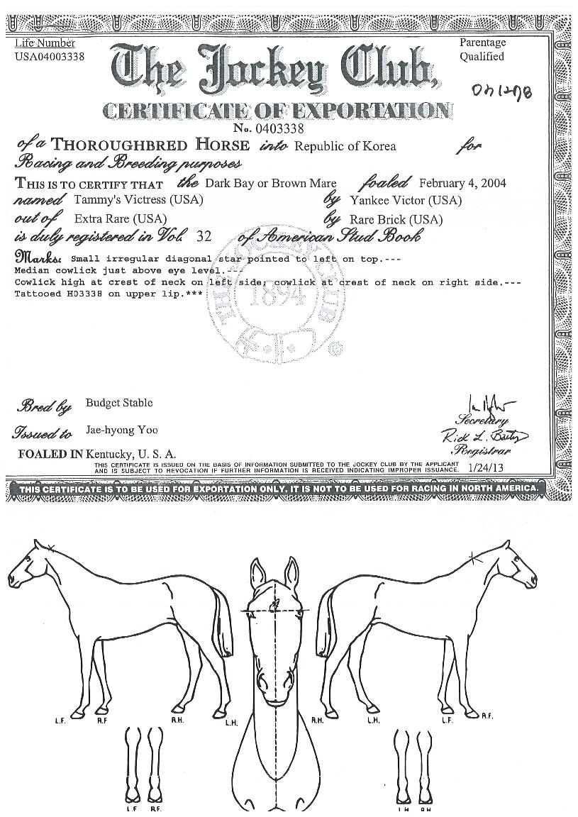 ŹÌÁîºòÆ®¸®½ºÀÇ Ãø¸é,¿ì¸é,µÞ¸é,µÎ»ó,´Ù¸®ÀÇ Æ¯Â¡µµÇØ