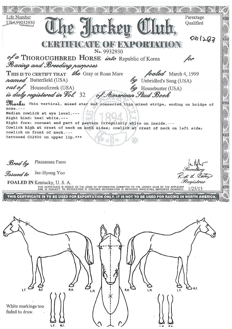 �����ʵ��� ����,���,�޸�,�λ�,�ٸ��� Ư¡����