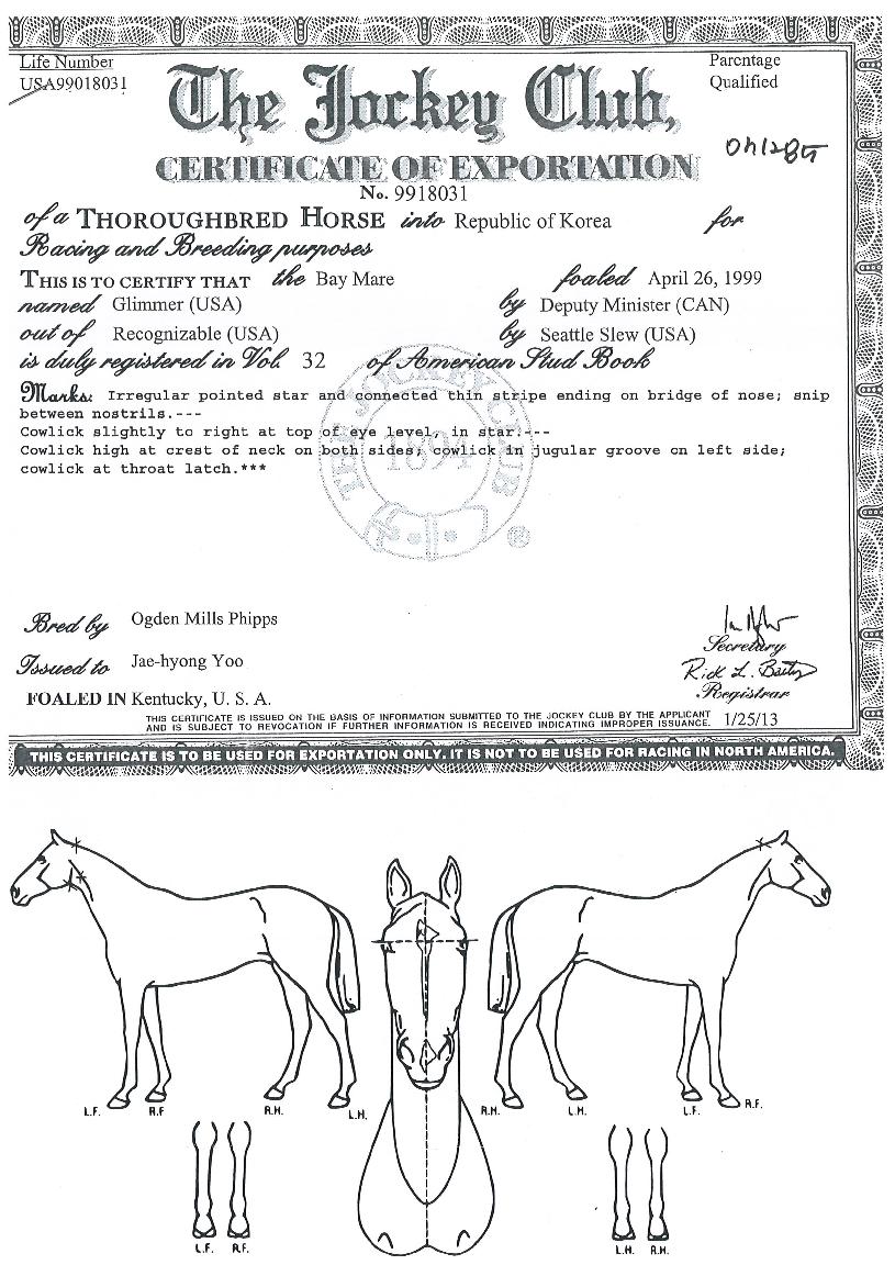 ±Û¸®¸ÓÀÇ Ãø¸é,¿ì¸é,µÞ¸é,µÎ»ó,´Ù¸®ÀÇ Æ¯Â¡µµÇØ