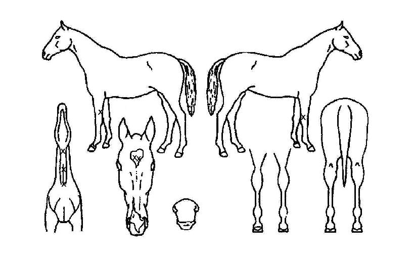 ��Ƽ������ ����,���,�޸�,�λ�,�ٸ��� Ư¡����