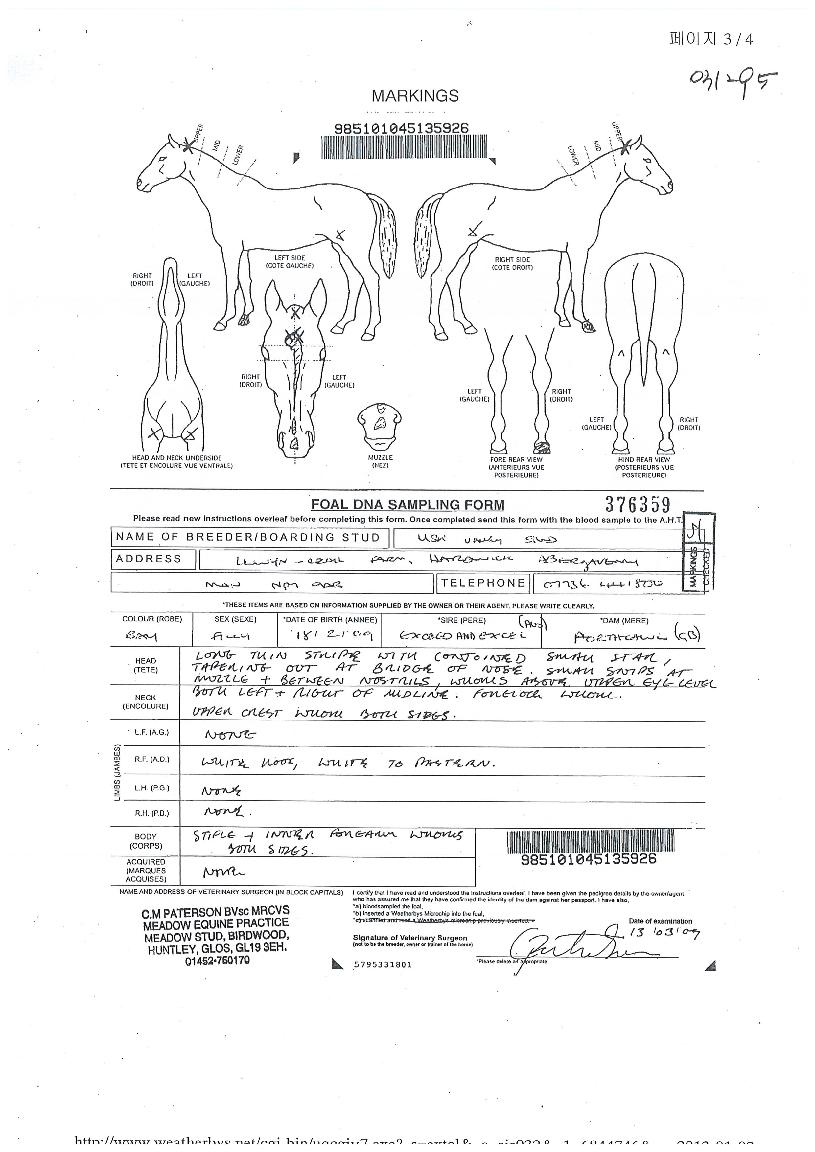 ´õ·Î¿ÀÇ Ãø¸é,¿ì¸é,µÞ¸é,µÎ»ó,´Ù¸®ÀÇ Æ¯Â¡µµÇØ