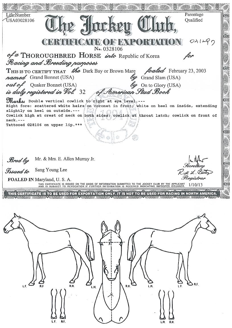 �׷��庸���� ����,���,�޸�,�λ�,�ٸ��� Ư¡����