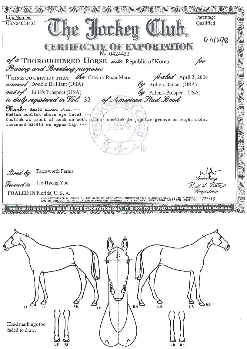 ´õºíºê¸±¸®¾ðÆ®ÀÇ Ãø¸é,¿ì¸é,µÞ¸é,µÎ»ó,´Ù¸®ÀÇ Æ¯Â¡µµÇØ