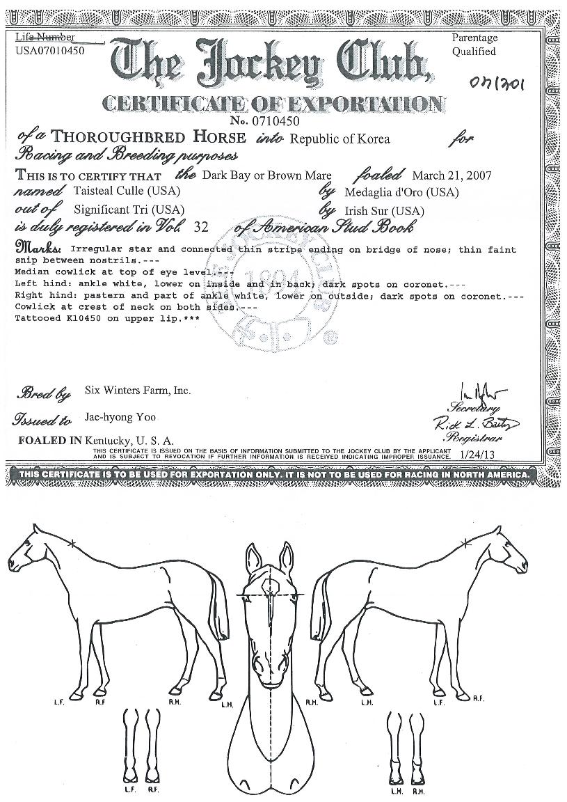 �½�ƿ���� ����,���,�޸�,�λ�,�ٸ��� Ư¡����