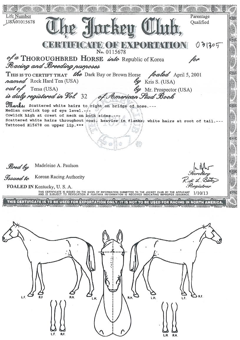 ·ÏÇϵåÅÙÀÇ Ãø¸é,¿ì¸é,µÞ¸é,µÎ»ó,´Ù¸®ÀÇ Æ¯Â¡µµÇØ