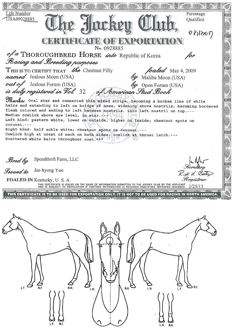 ���������� ����,���,�޸�,�λ�,�ٸ��� Ư¡����