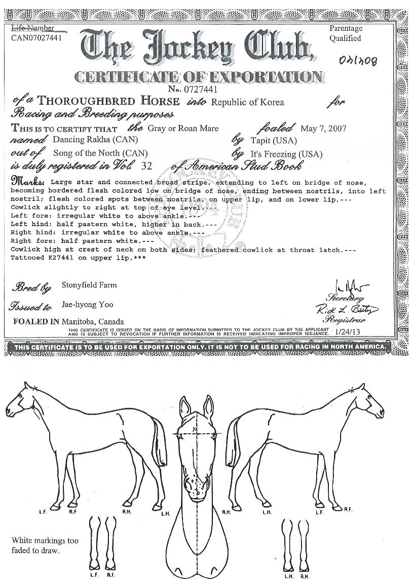 ´í½Ì¶óÄ«ÀÇ Ãø¸é,¿ì¸é,µÞ¸é,µÎ»ó,´Ù¸®ÀÇ Æ¯Â¡µµÇØ