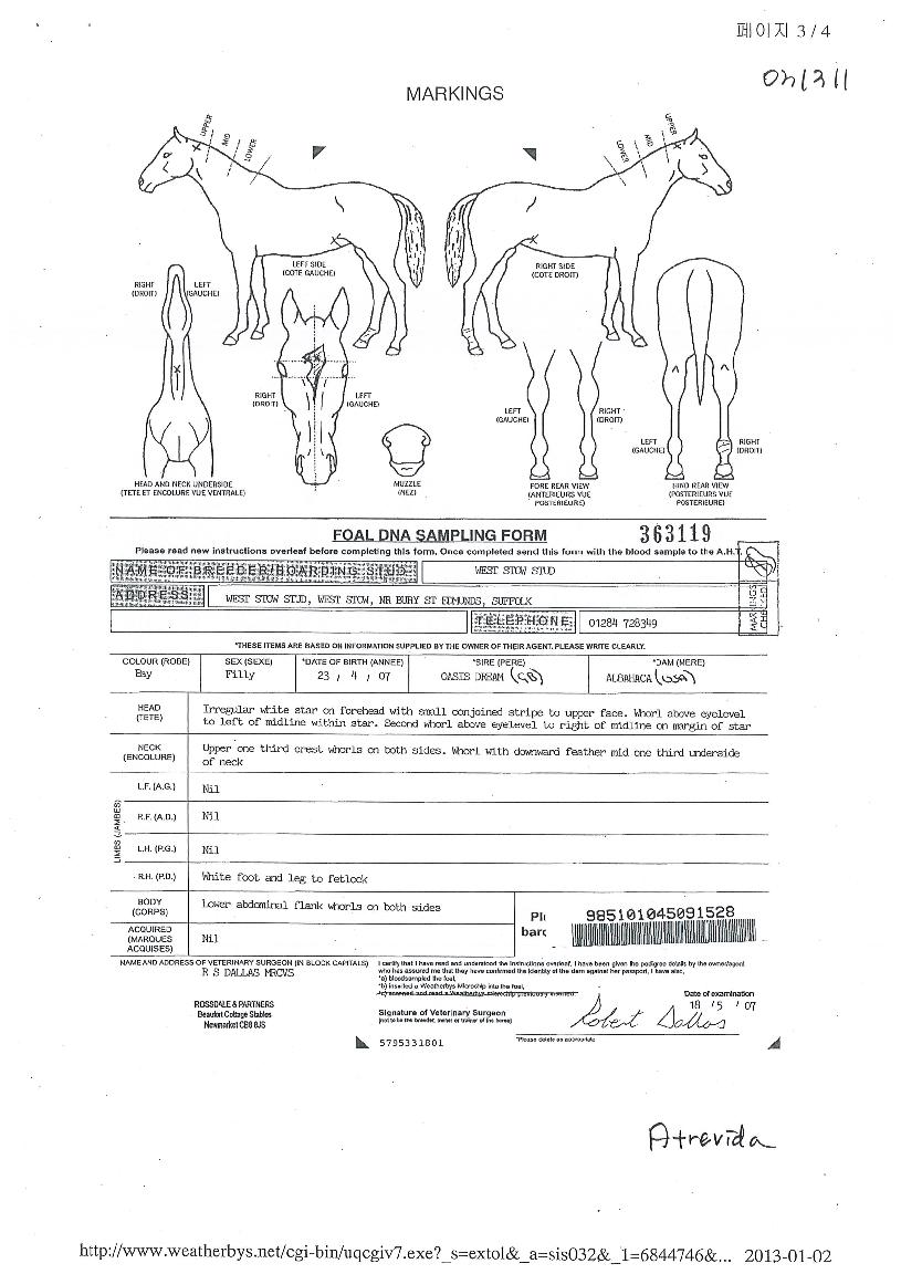 ��Ʈ������� ����,���,�޸�,�λ�,�ٸ��� Ư¡����