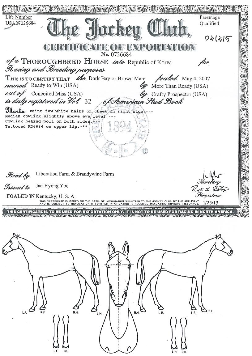 ���������� ����,���,�޸�,�λ�,�ٸ��� Ư¡����