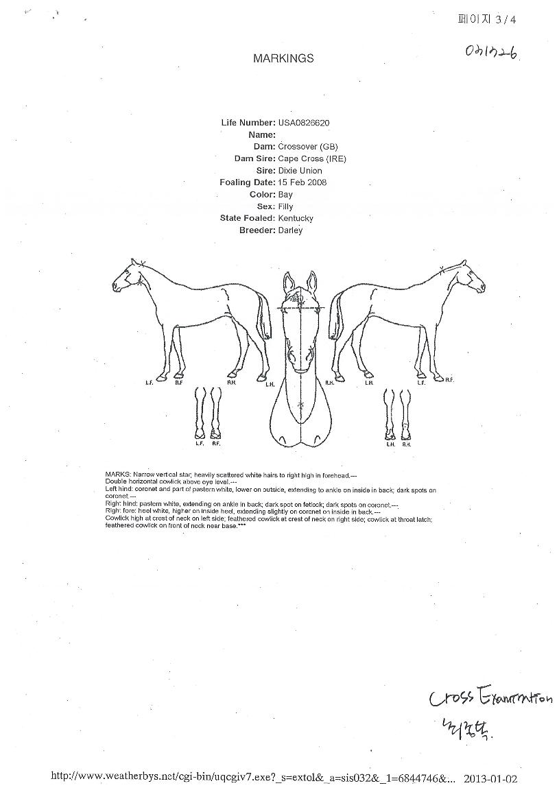 ũ�ν�������̼��� ����,���,�޸�,�λ�,�ٸ��� Ư¡����