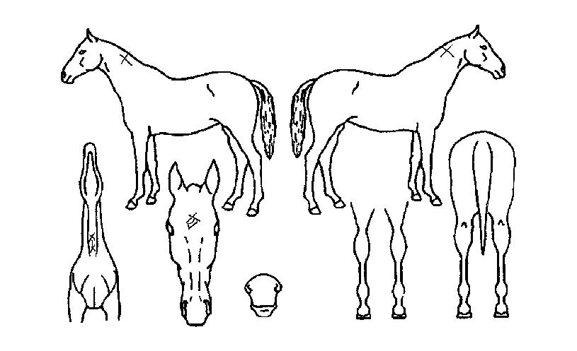 �ݺ��ҳ�Ÿ�� ����,���,�޸�,�λ�,�ٸ��� Ư¡����