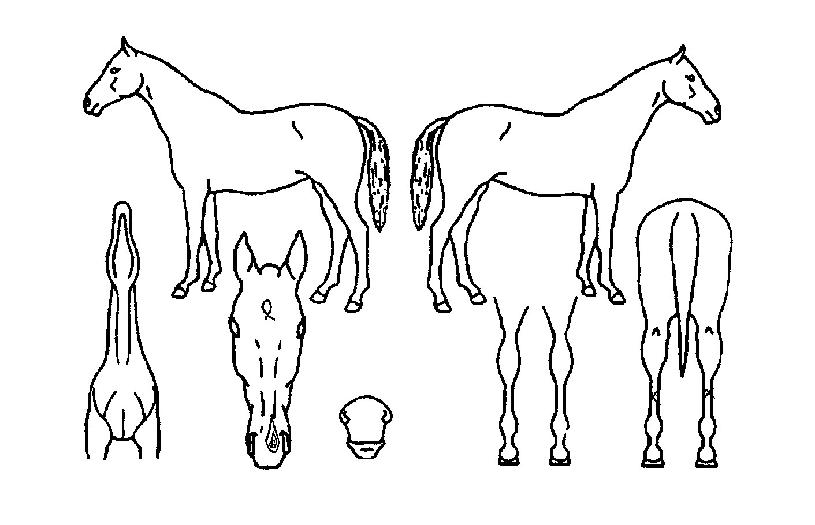 ��Ű������ ����,���,�޸�,�λ�,�ٸ��� Ư¡����