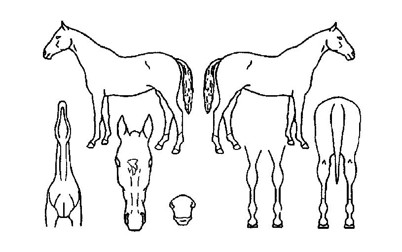 ��帶��ƾ�� ����,���,�޸�,�λ�,�ٸ��� Ư¡����