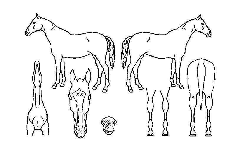 Ŀ�����ڸ��� ����,���,�޸�,�λ�,�ٸ��� Ư¡����