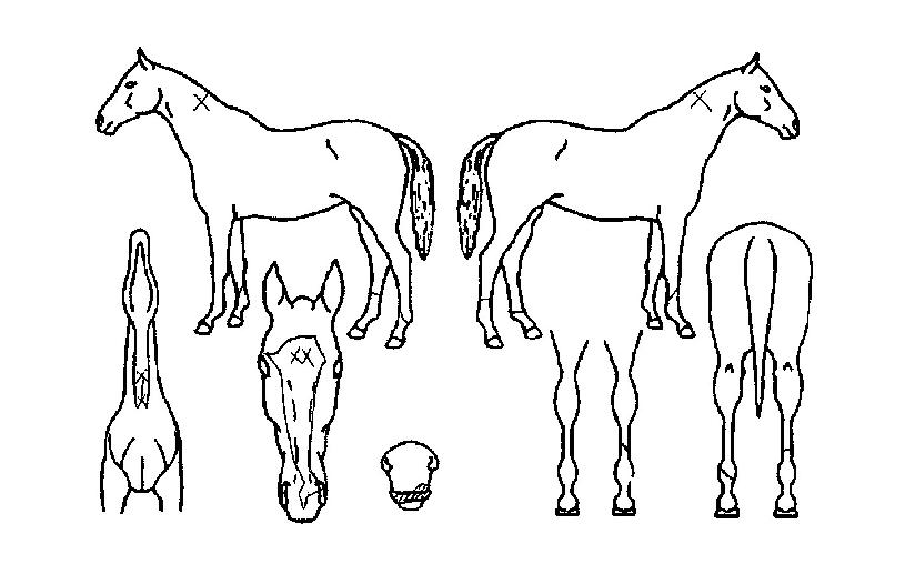 ���׺����� ����,���,�޸�,�λ�,�ٸ��� Ư¡����